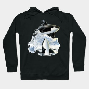 The Killer Whales Hoodie